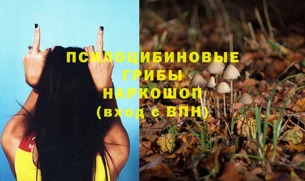 2c-b Гусев