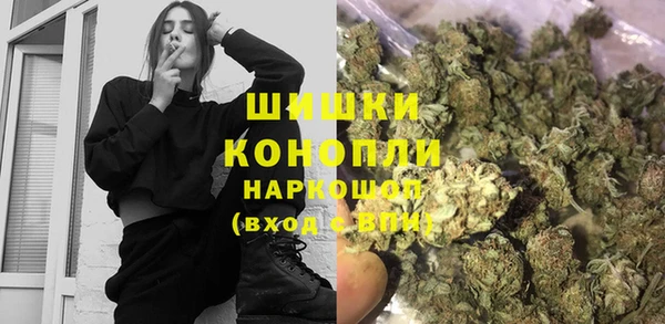 2c-b Гусев