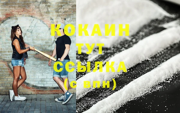 2c-b Гусев
