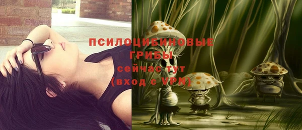 mix Горнозаводск