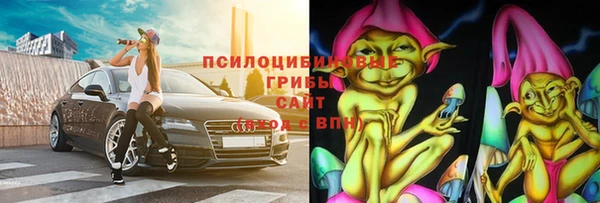 2c-b Гусев