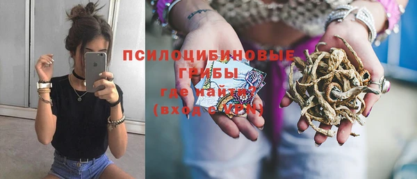 альфа пвп Горно-Алтайск