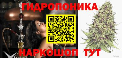а пвп мука Новодвинск