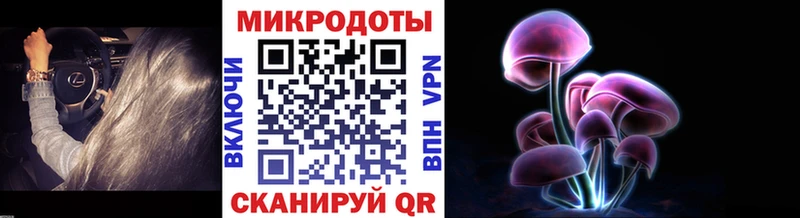 Псилоцибиновые грибы мухоморы  сколько стоит  Шумерля 