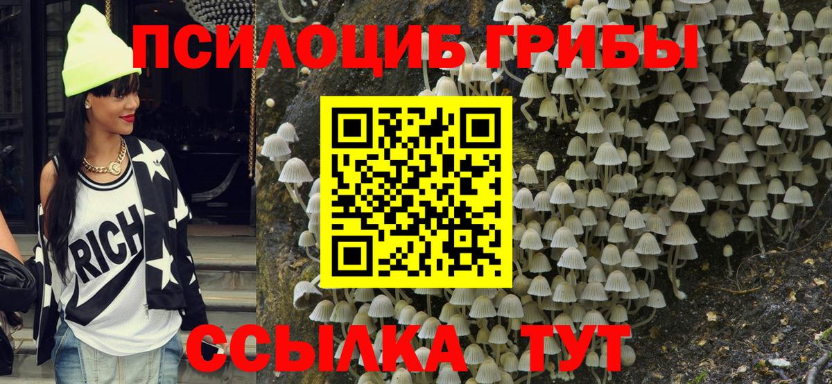 купить  сайты  Вход с VPN  Шумерля  Псилоцибиновые грибы GOLDEN TEACHER 